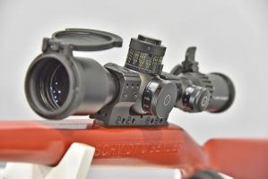 Riflescope Schmidt und Bender 5-45x56 PM II High Power LRR